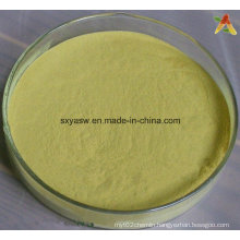 Radix Notoginseng Extract 10% 95% Sanchinoside